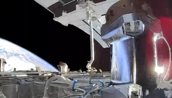  			Cloud Of Betrayal Settles Over Potential SpaceX-Tesla Merger		