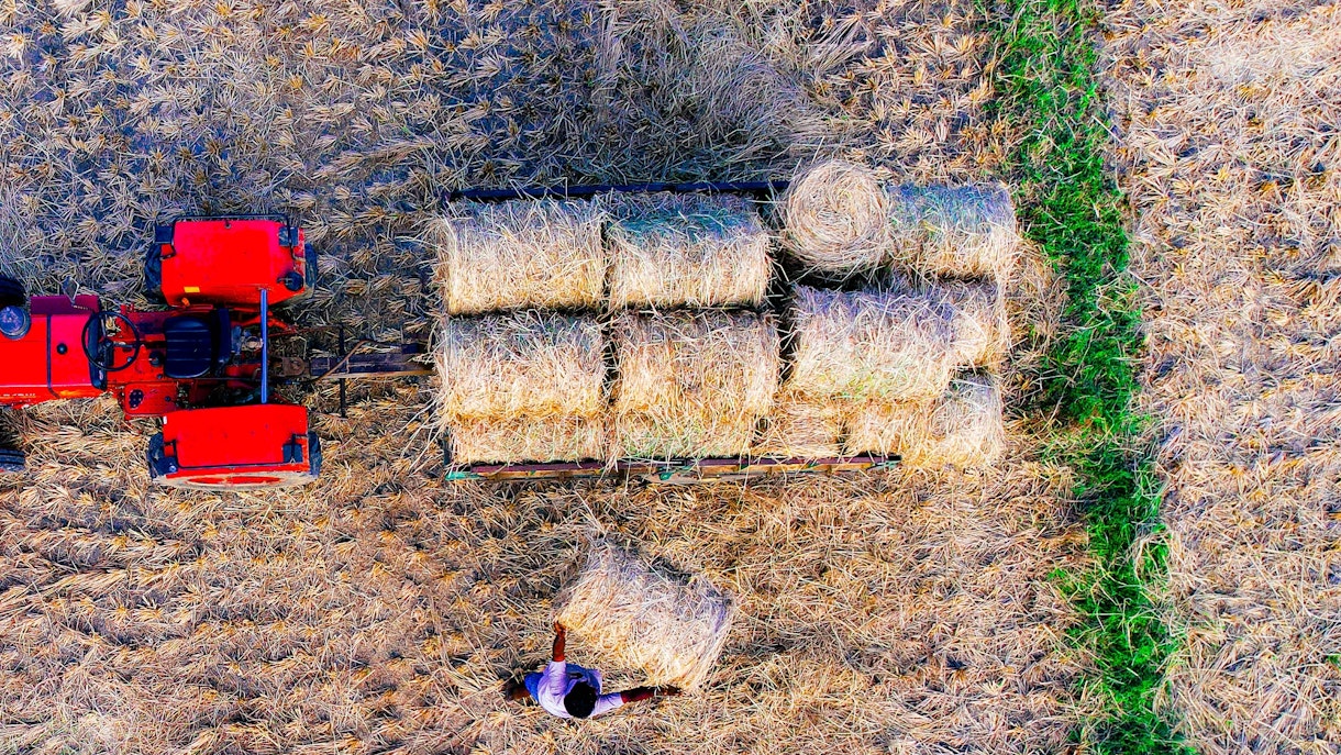 ������ ������������� ����� ������� ��������� ����, ������������� ����������� ������������ ����������