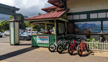 Pedego Element 2: обзор доступного электровелосипеда за $2 195