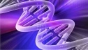 Альтернативный источник энергии обнаружен в молекуле ДНК