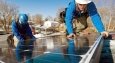  SunEdison  8-     