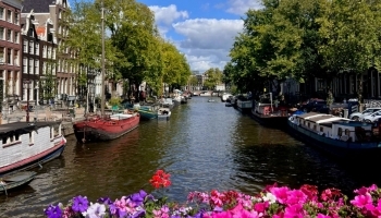 ����������� ��� �����������: ��� �������� ������������� � ����������� �������